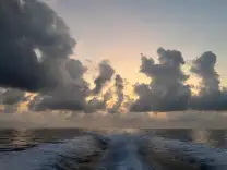 Photo from robert_pertaya's review of Симиланы 7 - экскурсия на Симиланские острова c ранним выездом