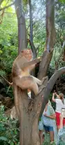 Фотография 1 из 7 из отзыва клиента Alena
