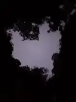 Photo from solodkiy's review of Сияние Андамана - сияющий планктон, каноэ на закате и панорамы Пханг Нга