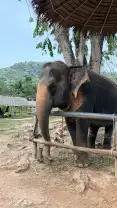 Фотография 7 из отзыва