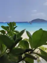 Фото туриста с экскурсии Симиланы 7 - экскурсия на Симиланские острова c ранним выездом