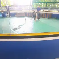 Фотография 1 из отзыва