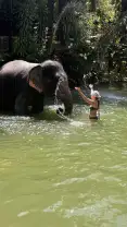 Фото туриста 11 из 1074, Экскурсия "Экскурсия в Као Лак - водопады и природа Таиланда"