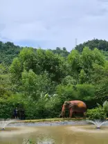 Фото туриста 9 из 3989, Экскурсия "Phuket elephant care"