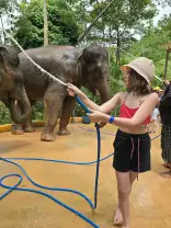 Фото туриста 10 из 3989, Экскурсия "Phuket elephant care"