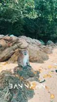 Фотография 4 из отзыва