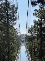 Фотография 4 из отзыва