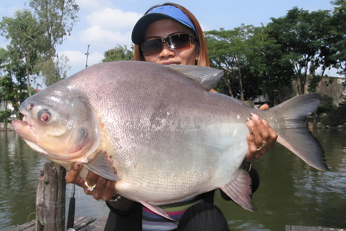 Озерная рыбалка