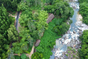 Kong Forest —  Приключения в джунглях Нячанга