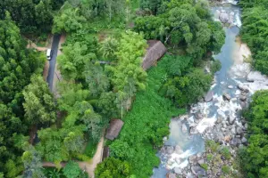 Kong Forest —  Приключения в джунглях Нячанга