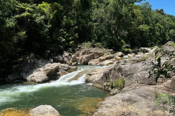 Kong Forest —  Приключения в джунглях Нячанга