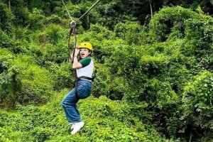 Kong Forest —  Приключения в джунглях Нячанга