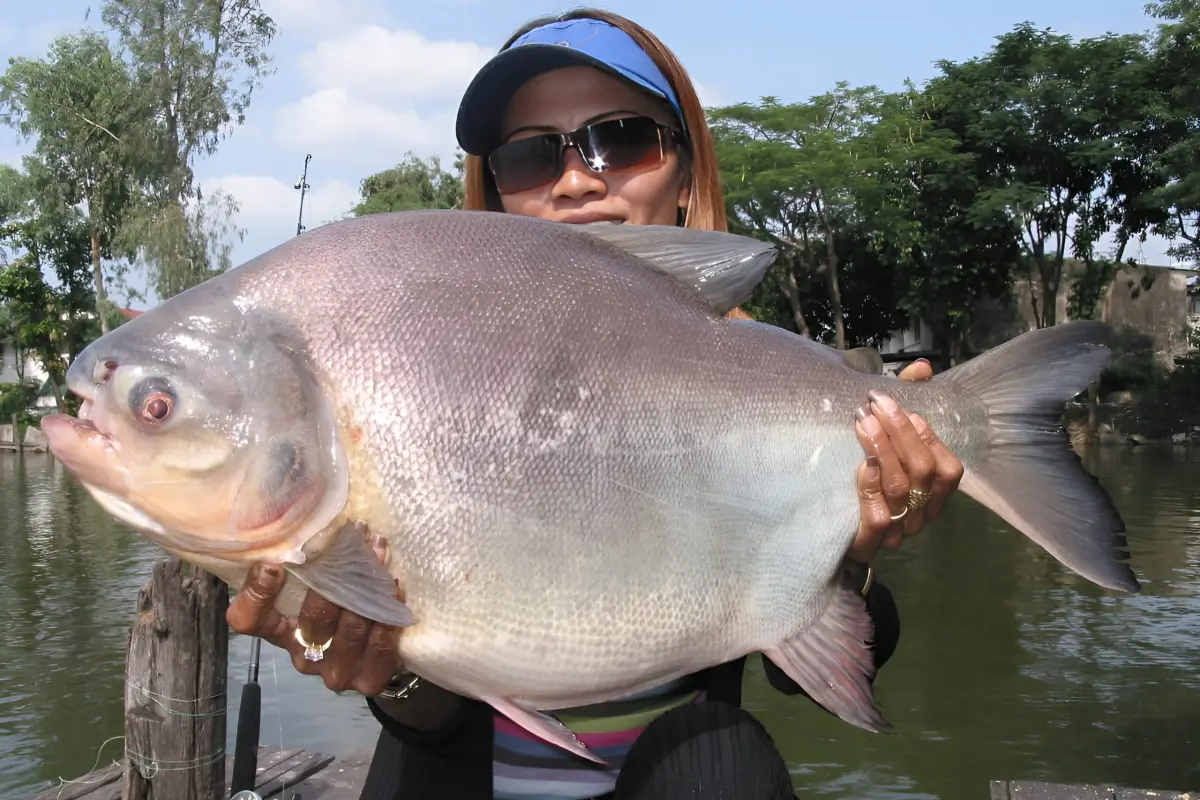 Озерная рыбалка в Нячанге