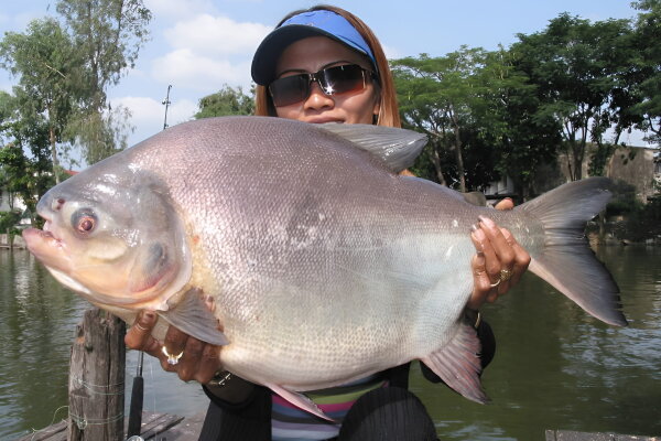 Озерная рыбалка в Нячанге