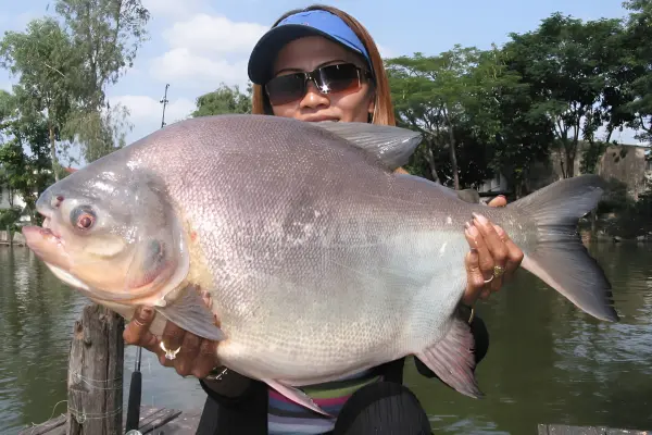 Озерная рыбалка в Нячанге