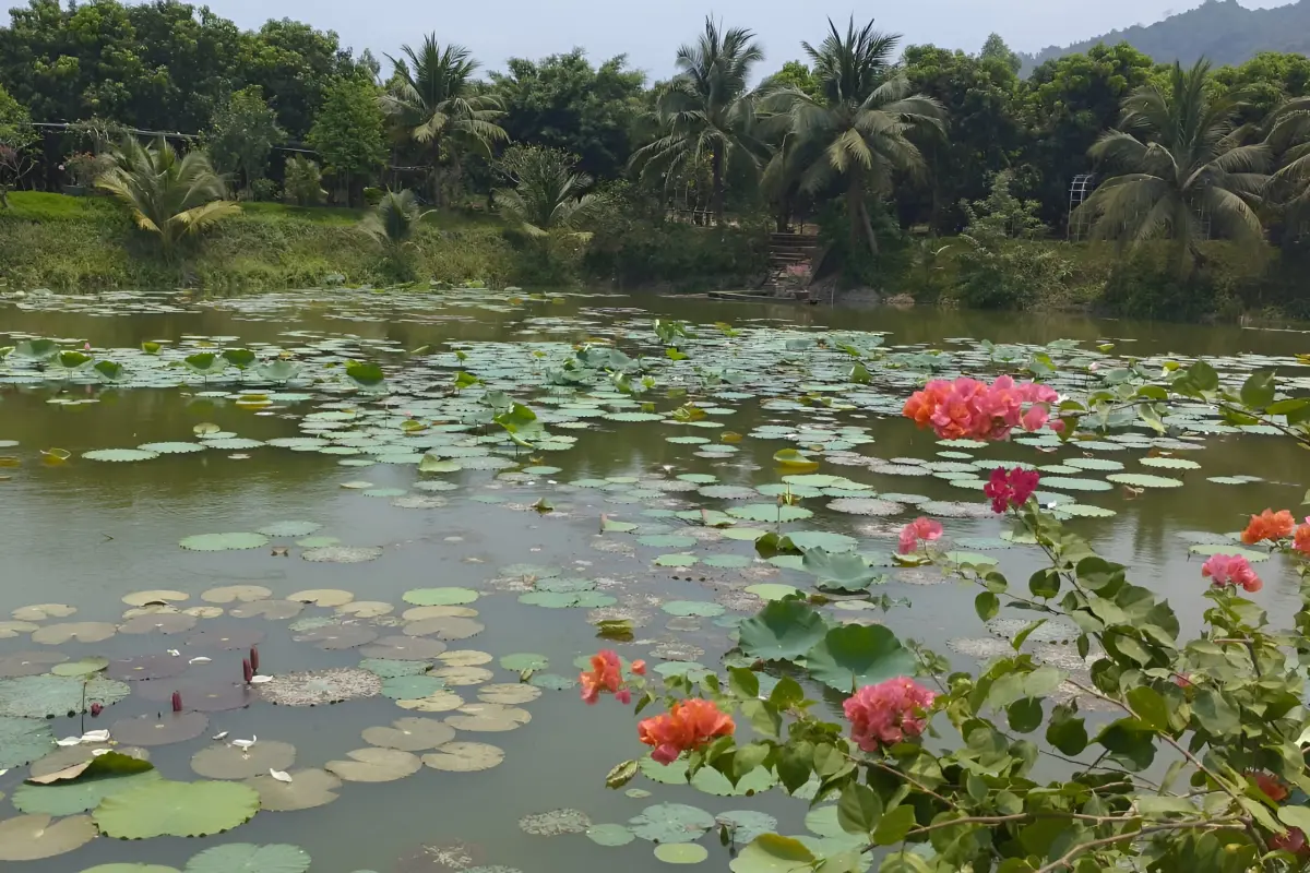 Озерная рыбалка в Нячанге