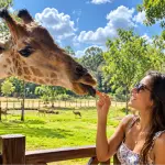 Фукуок: VinWonders и Vinpearl Safari – билеты в парки