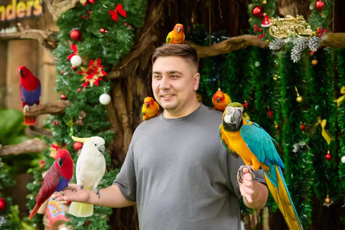 VinWonders Nha Trang Tickets