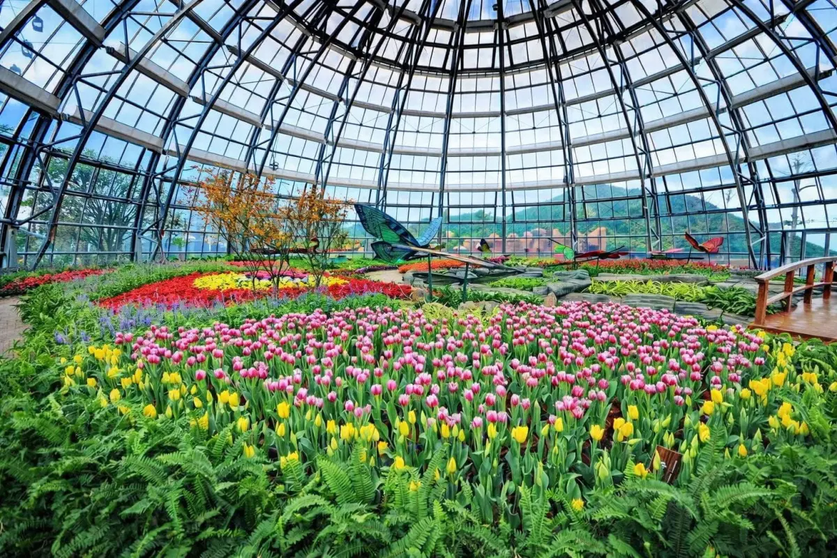 VinWonders Nha Trang Tickets