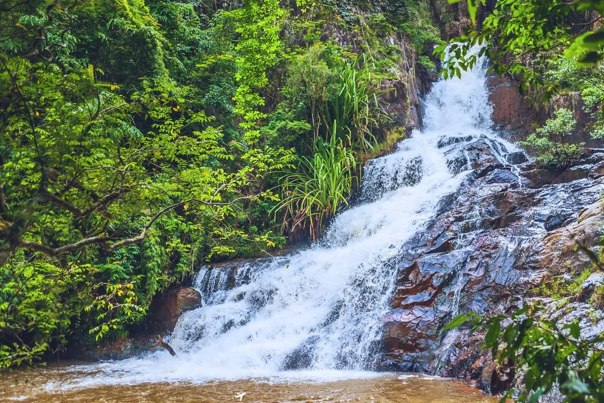 Далат Классик 1 день