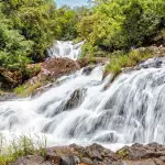 Из Нячанга: Далат за 1 день — водопады и кофе