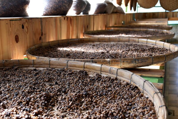 Далат 2 дня 1 ночь