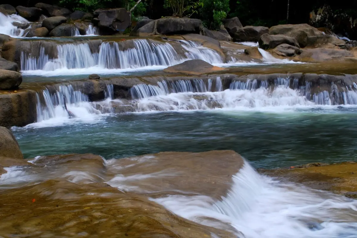 Экскурсия на Янг Бей