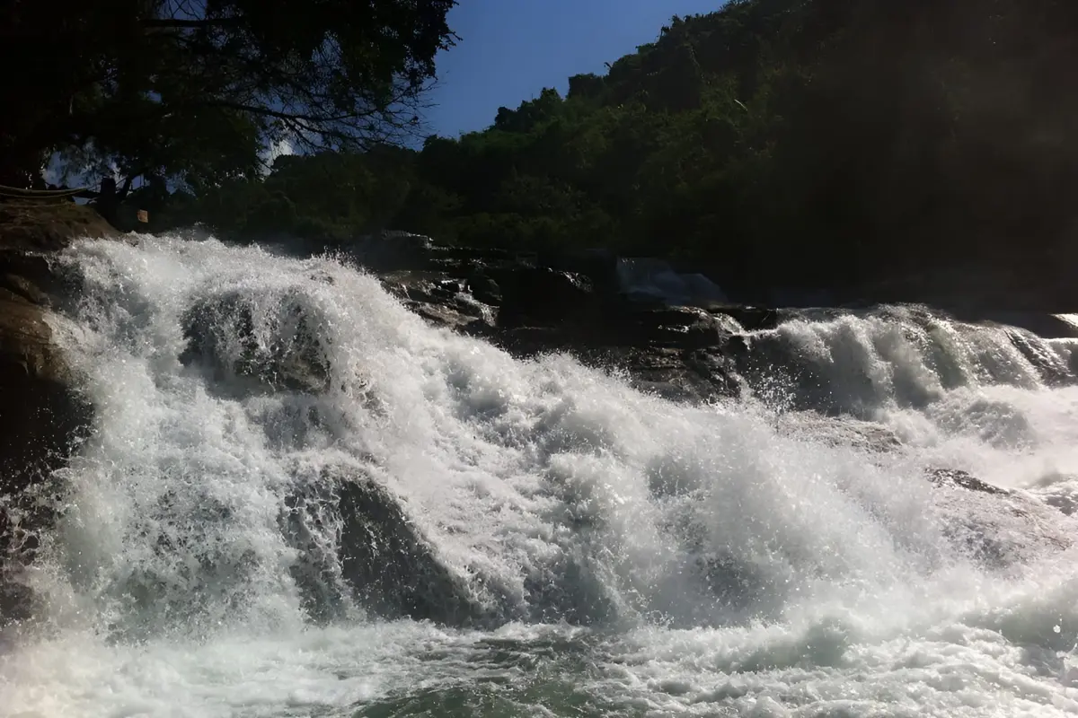 Экскурсия на Янг Бей