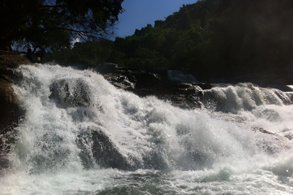 Экскурсия на Янг Бей