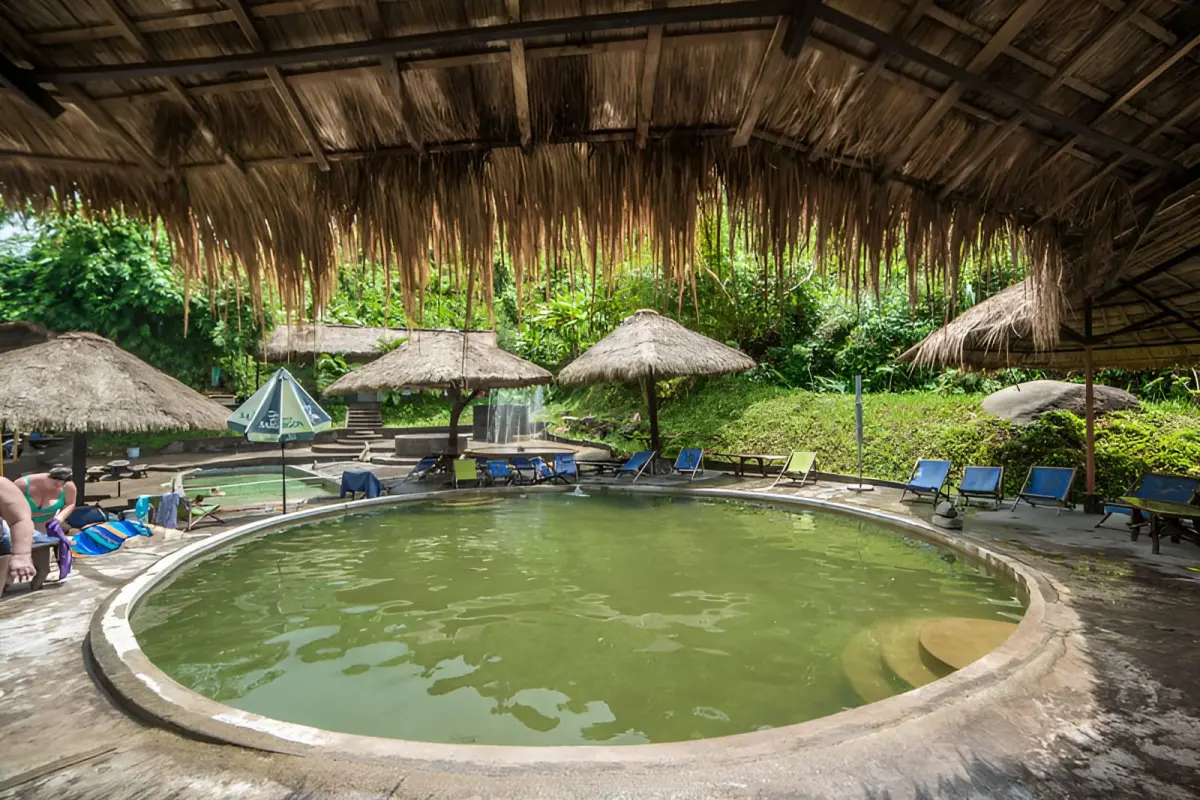 Экскурсия на Янг Бей