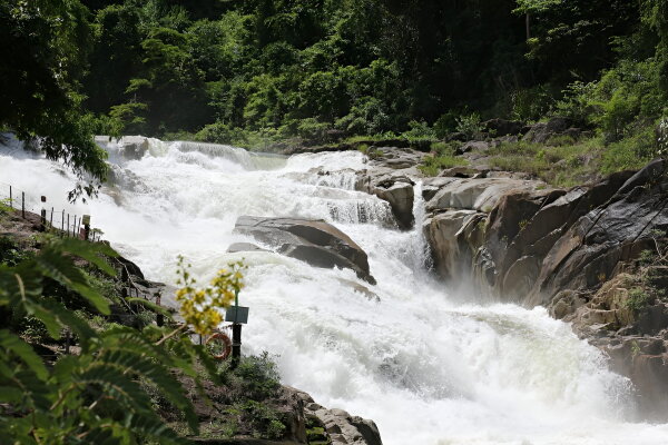 Экскурсия на Янг Бей