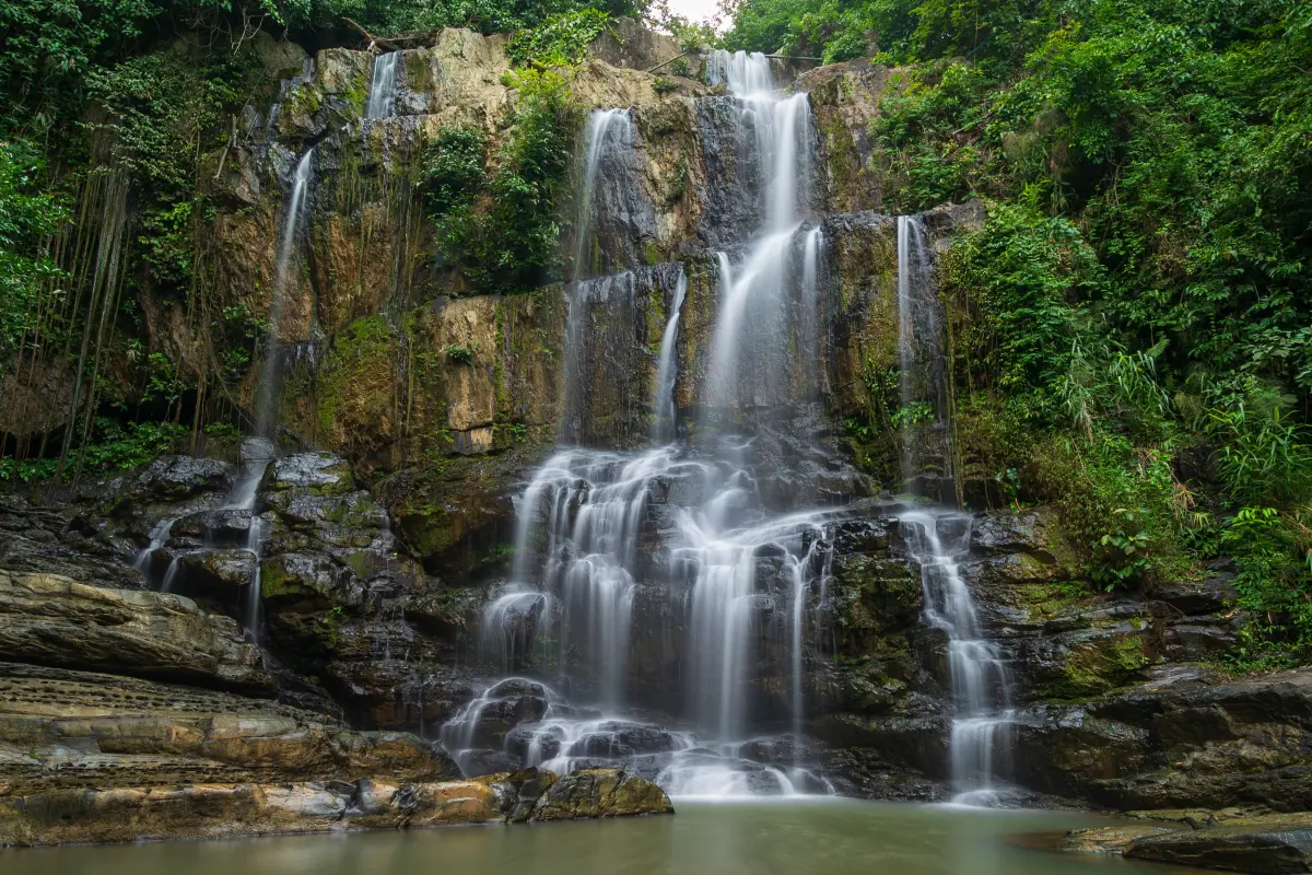 Экскурсия на Янг Бей