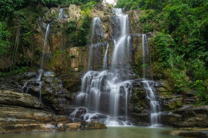 Экскурсия на Янг Бей