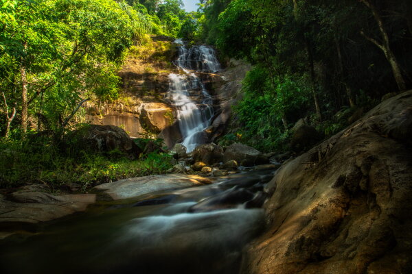 Экскурсия на Янг Бей