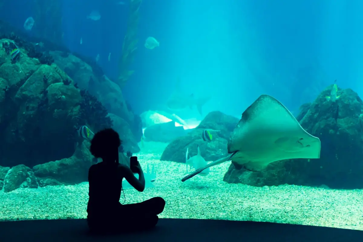 Обзорная экскурсия по Нячангу