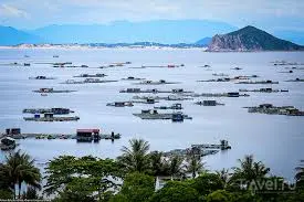 Экскурсия в Фуйен из Нячанга