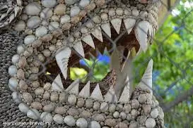 Экскурсия в Фанранг из Нячанга