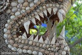 Экскурсия в Фанранг из Нячанга