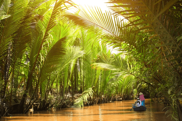 Экскурсия в Сайгон из Нячанга