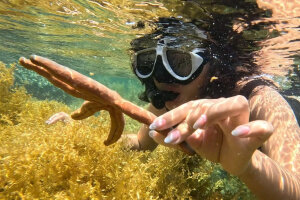 Нячанг: морская вечеринка со снорклингом, водной горкой, аниматорами и живой музыкой