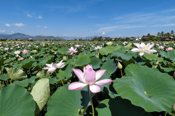 Нячанг: джип-тур — водопад и деревни